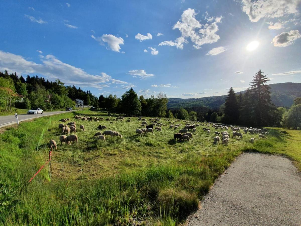 Haus Bergblick Lägenhet Mauth Exteriör bild